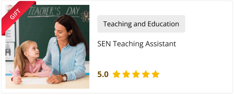 SEN Teaching Assistant