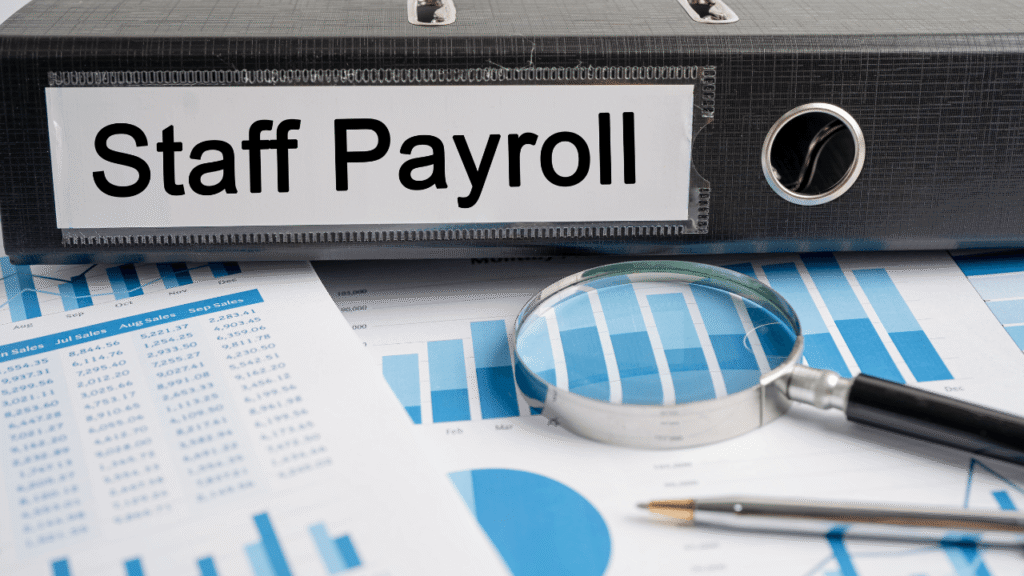 Payroll Administrator and UK Payroll System Training Image - 2