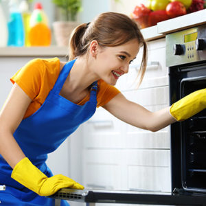 Level 3 Oven Cleaning Course