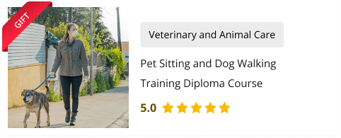 Pet Sitting and Dog Walking Training Diploma Course for Free as gift with Pet Sitting and Dog Walking Training Diploma Course