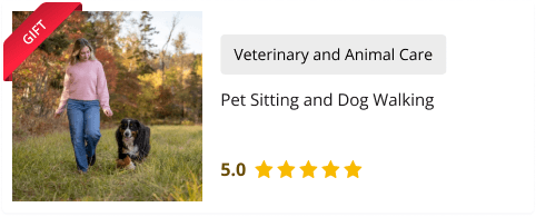 Pet Sitting and Dog Walking for Free as gift with Pet Sitting and Dog Walking Training Diploma Course