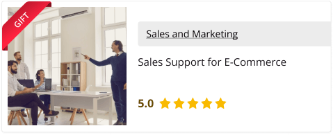 Sales Support for E-Commerce