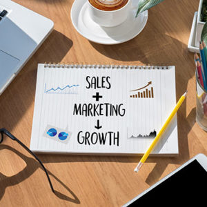 Sales and Marketing Skills Level 3