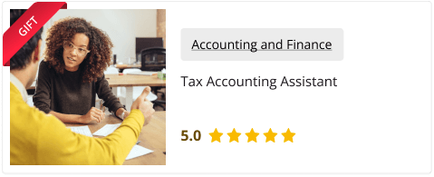 Tax Accounting Assistant(Gift Course)