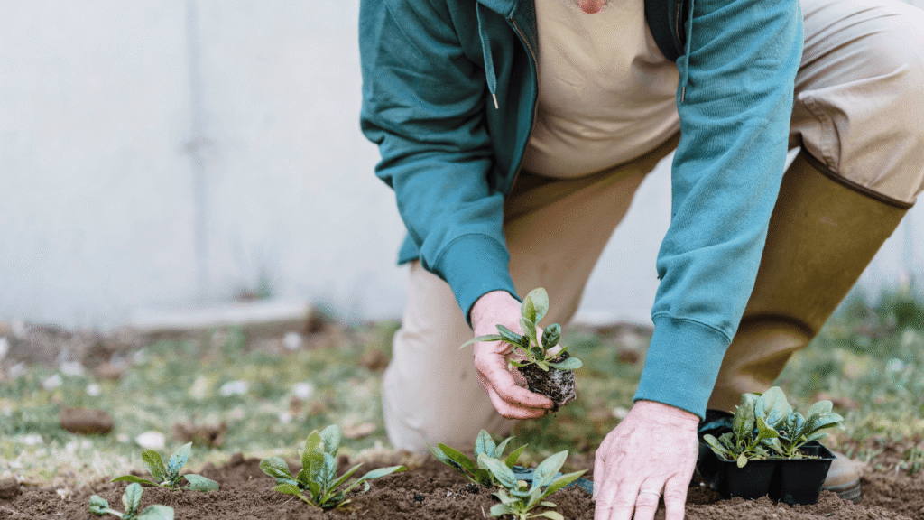 Level 5 Horticulturist Course Image - 1