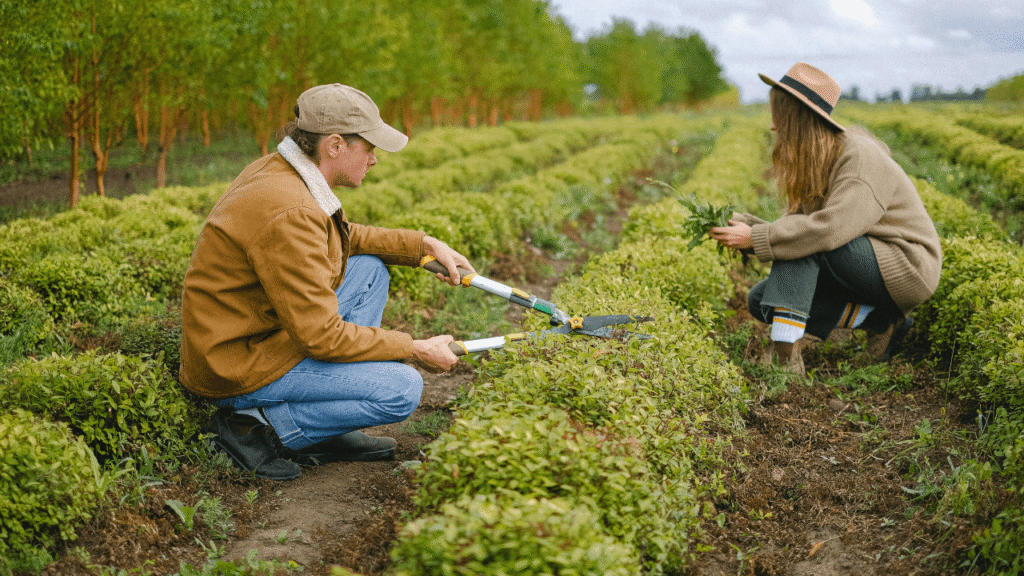 Level 5 Horticulturist Course Image - 2