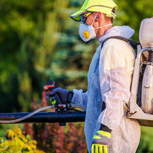 Diploma in Food Safety & Pest Management