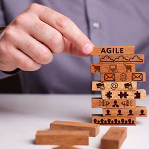 Agile Practitioner Level 2