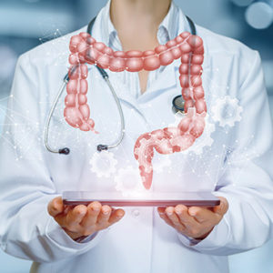 Anatomy and Physiology Diploma