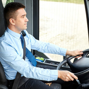 Car Maintenance & Driving Test Complete Bundle