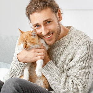 Cat Behaviour and Healthcare Diploma