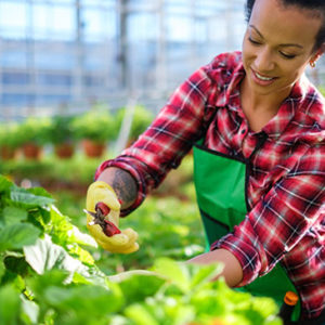 Level 5 Horticulturist Course
