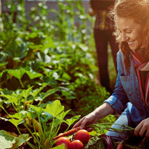 Horticulture Course