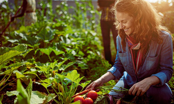 Horticulture Course