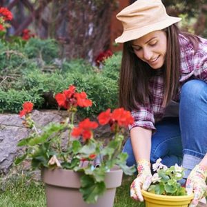 Garden Design, Gardening & Landscaping