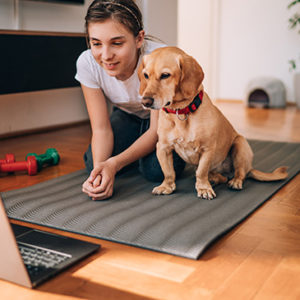 Online Dog Training, Dog Health and Behavior Course