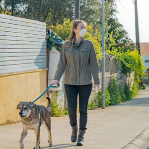 Pet Sitting and Dog Walking Training Diploma Course