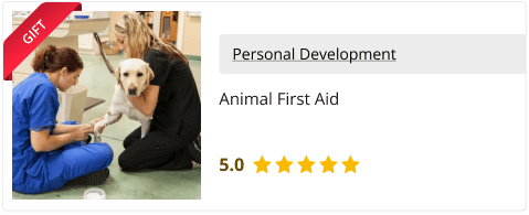 Animal First Aid