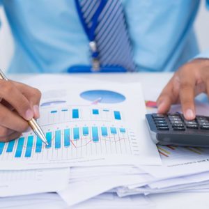 Financial Investigator