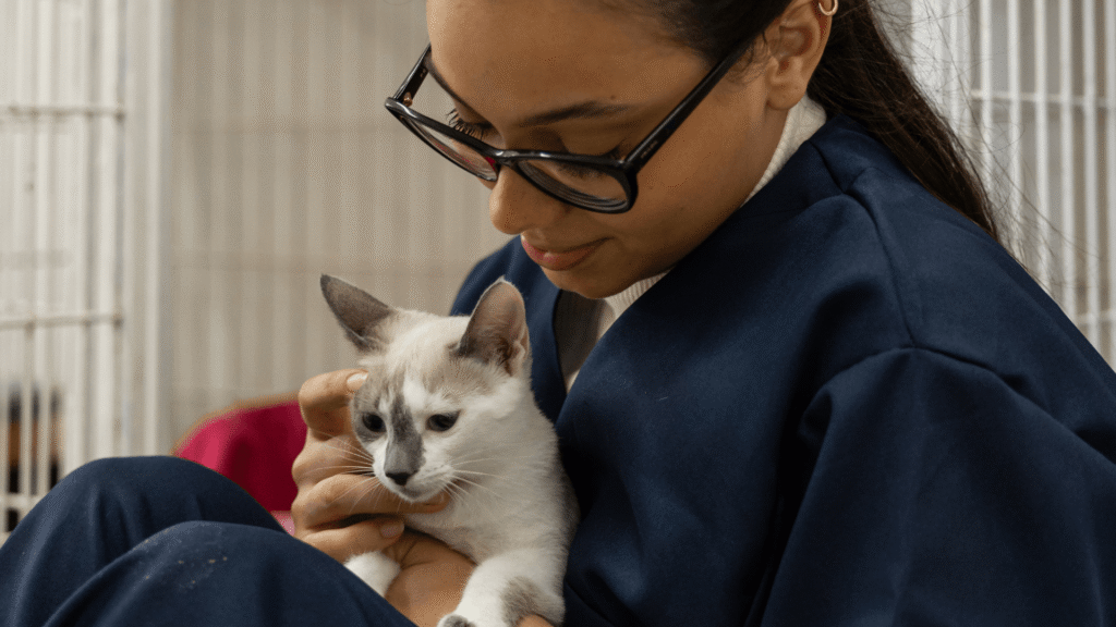 Image 2 for Exotic Animal Care course