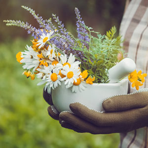 Master Herbalist