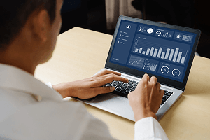 Microsoft Excel: Automated Dashboard Using Advanced Formula, VBA, Power Query Image 1