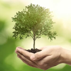 Environmental Health