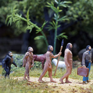 Cultural Anthropology: Explore Gender