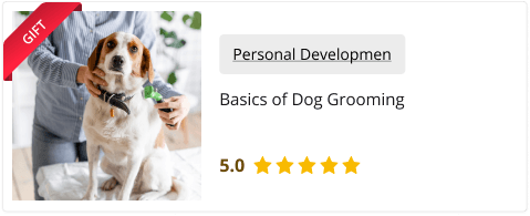 Dog First Aid Training