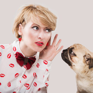 Canine Communication