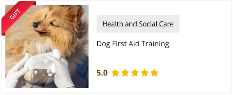Dog First Aid Training