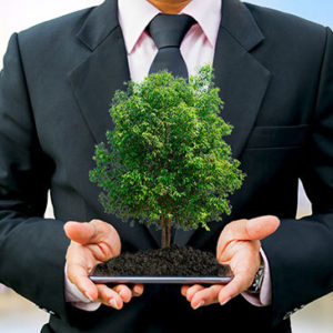 Environment Management