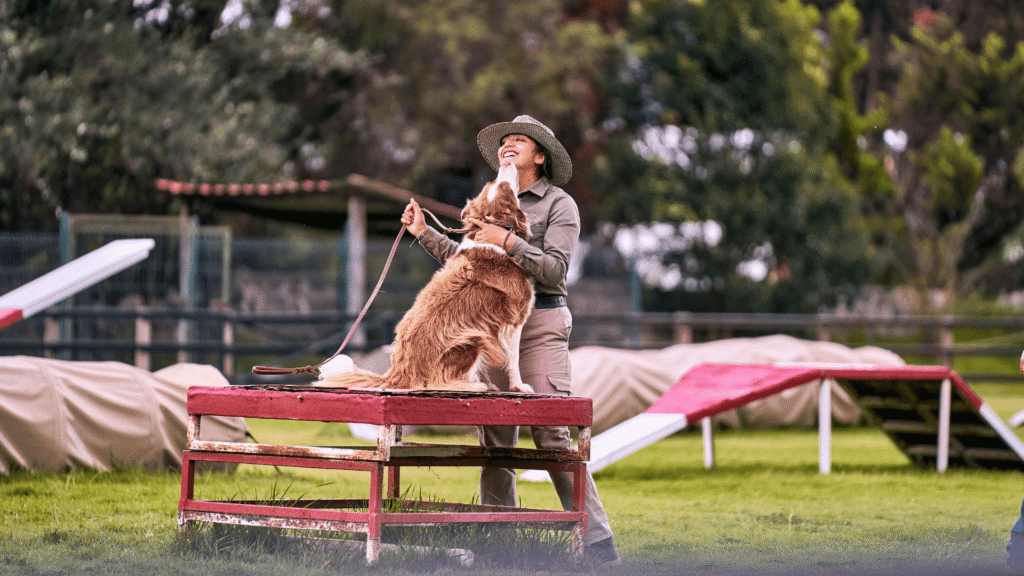 Image 1 for Dog Behaviour And Training Course