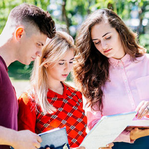 International Development Studies