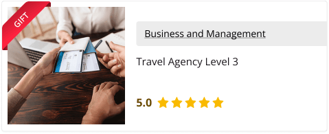 Travel Agency Level 3