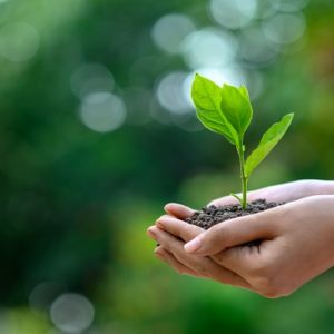 Environment Management | Online Course