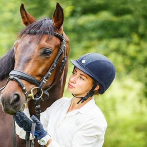 Equine Psychology