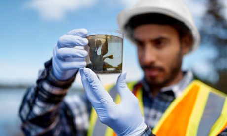 Marine Biology Course – Online Diploma