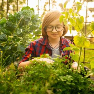 Organic Gardening