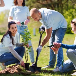 Social Work Studies Diploma