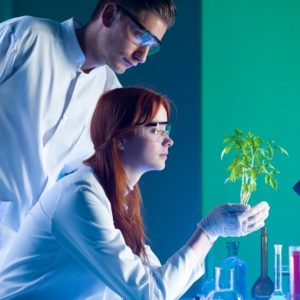 Organic Chemistry