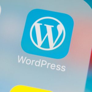 Blogger’s Guide to WordPress