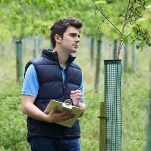 Conservation Diploma Course