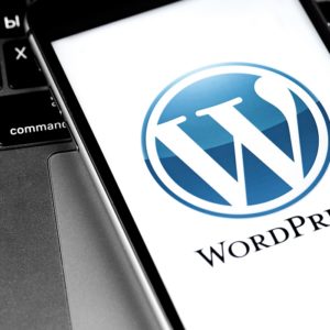 Learn Fundamentals of WordPress