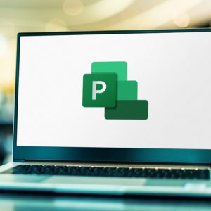 Planning & Control Using Microsoft Project 2013, 2016 & 2019