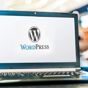 WordPress Training