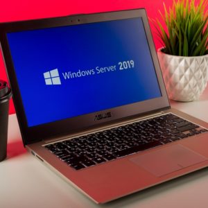 Installing and Configuring Microsoft Windows Server 2019