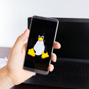 Linux Security and Hardening