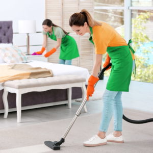 Carpet Cleaner