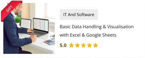 Basic Data Handling & Visualisation with Excel & Google Sheets course for Free as gift with Data Visualization and Reporting with Power BI course
